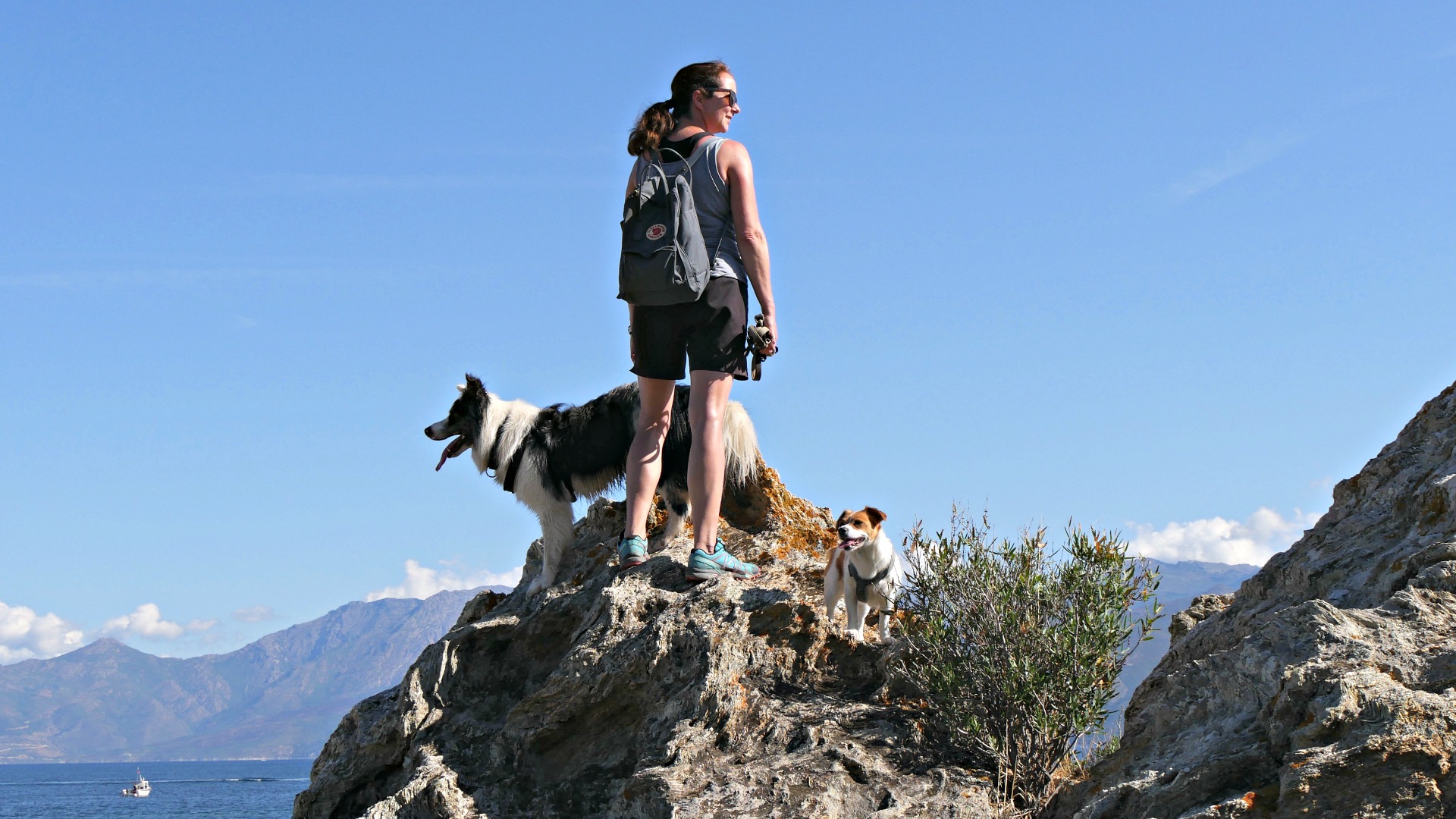 Korsika mit Hund(en) traveldogs.de